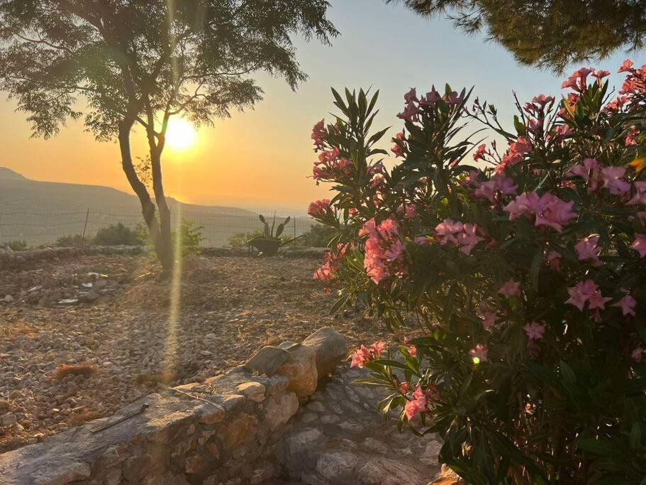 Appartamento Λαγκάδι Μάνης Koíta Esterno foto